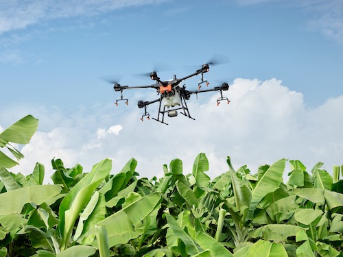 Agricoltura digitale, per produrre di più e sprecare meno