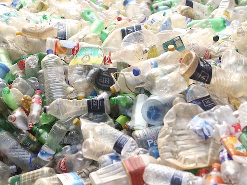 Un enzima che decompone la plastica in pochi giorni