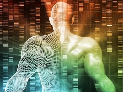 Gemelli digitali per terapie su misura