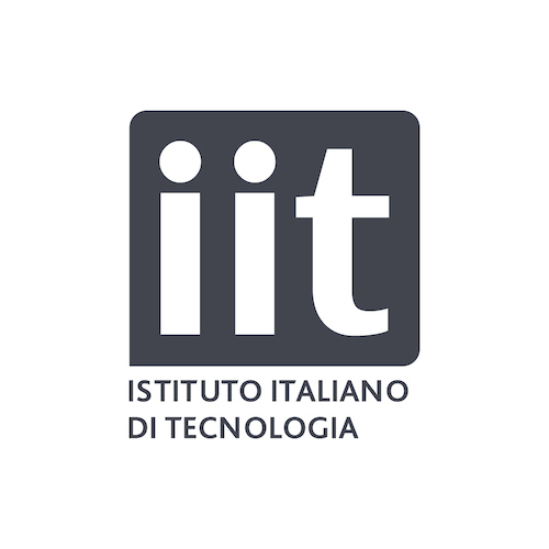 Istituto Italiano di Tecnologia 