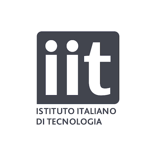 Istituto Italiano di Tecnologia